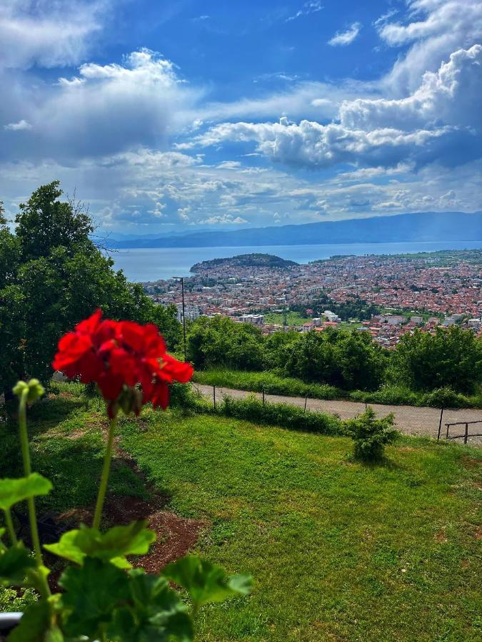 Villa & Apartments Cityview Охрид Экстерьер фото
